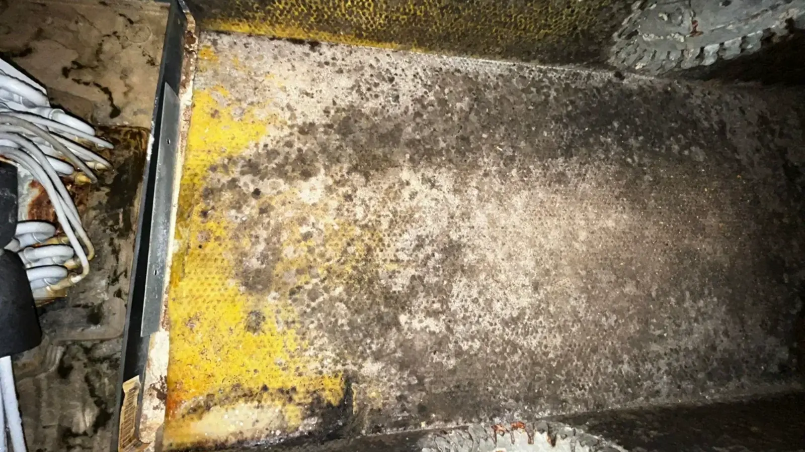 Air Scrubber vs Air Purifier: Which Do You Need?