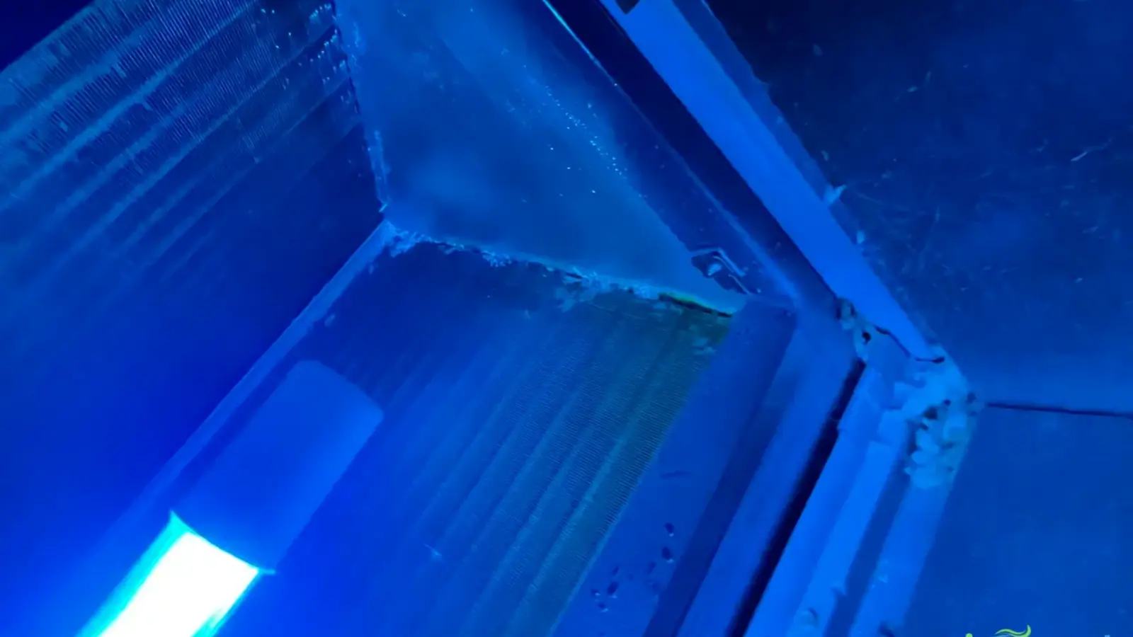 How Cedar Pollen Gets Into Your HVAC (And How to Remove It)
