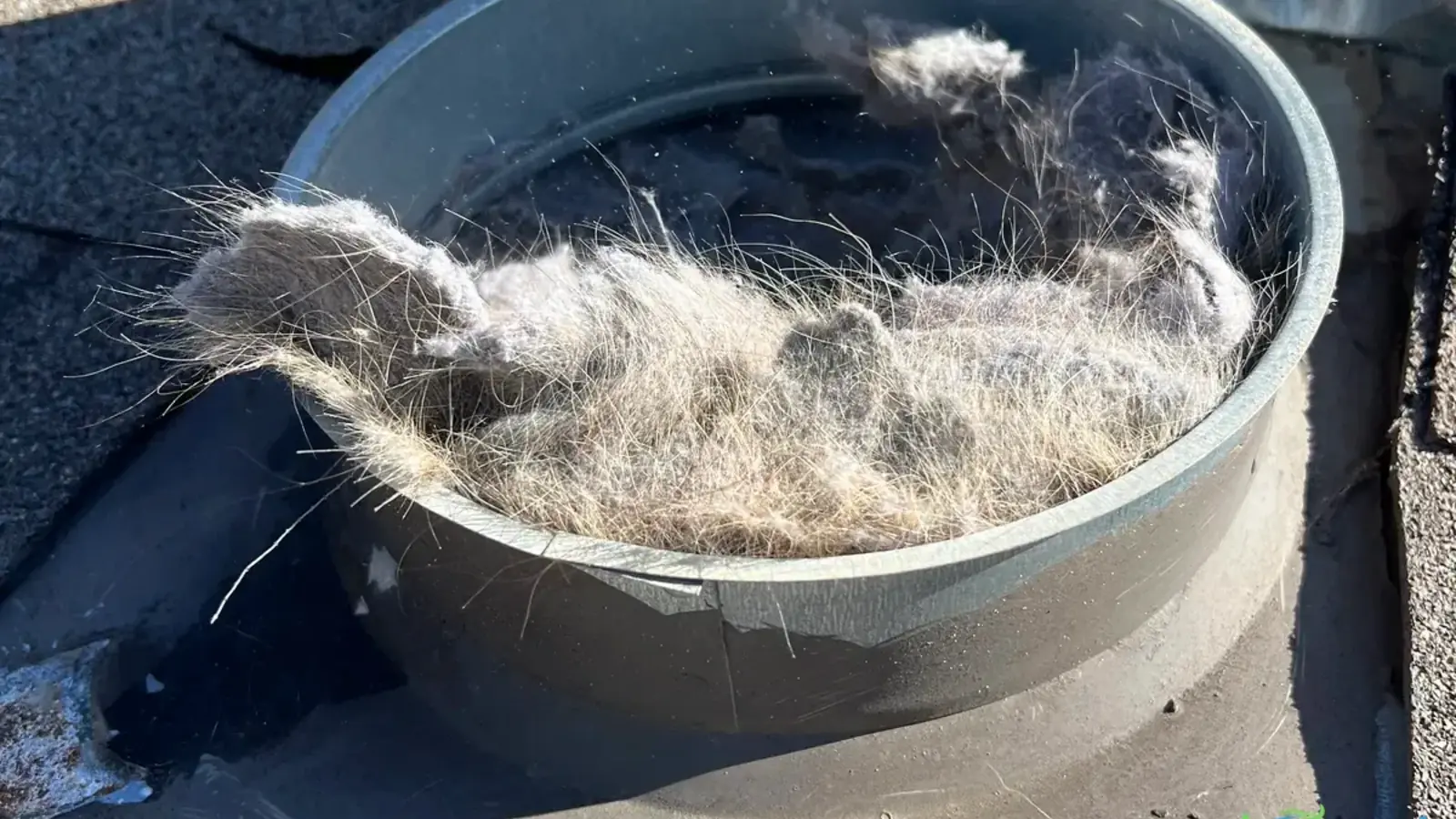 Dryer Vent Cleaning with Roof Access: What to Know