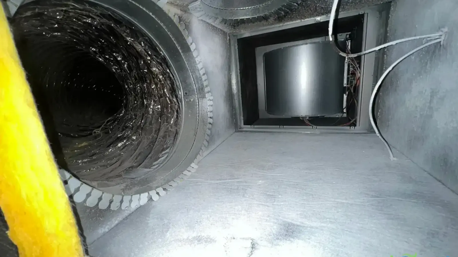 Mold Inspection Cost in Austin TX: What to Expect in 2026