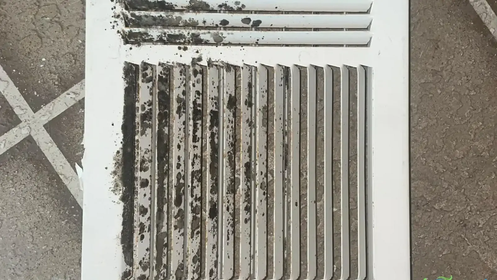 Rodents and Pests in Air Ducts: Signs, Cleanup, Prevention