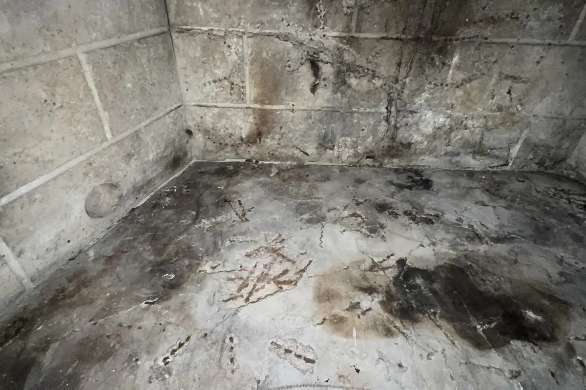 November-December: Winter Preparation and Cedar Season Start - Air Central seasonal guides service in Austin TX