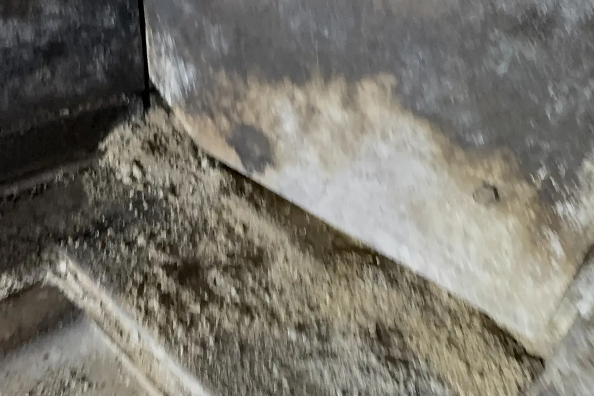 DIY Fireplace Maintenance vs Professional Cleaning - Air Central chimney service in Austin TX