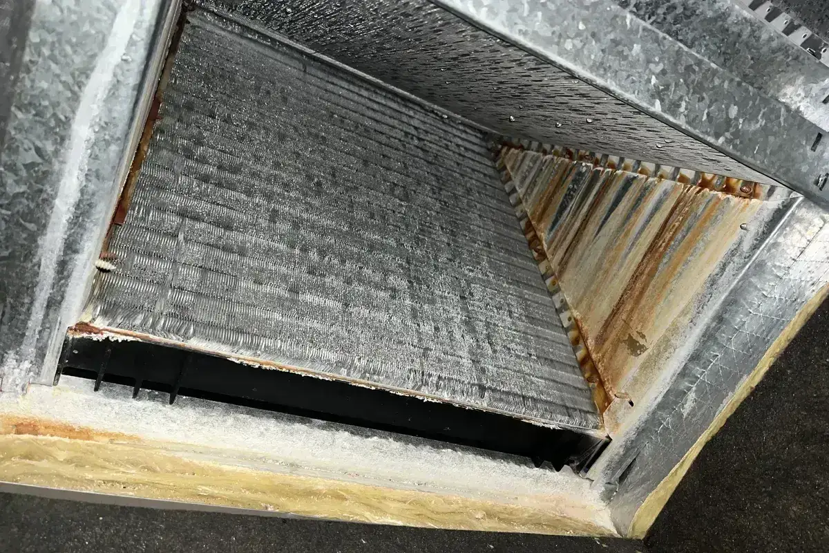 Is Mold in Your HVAC System Dangerous? What to Know