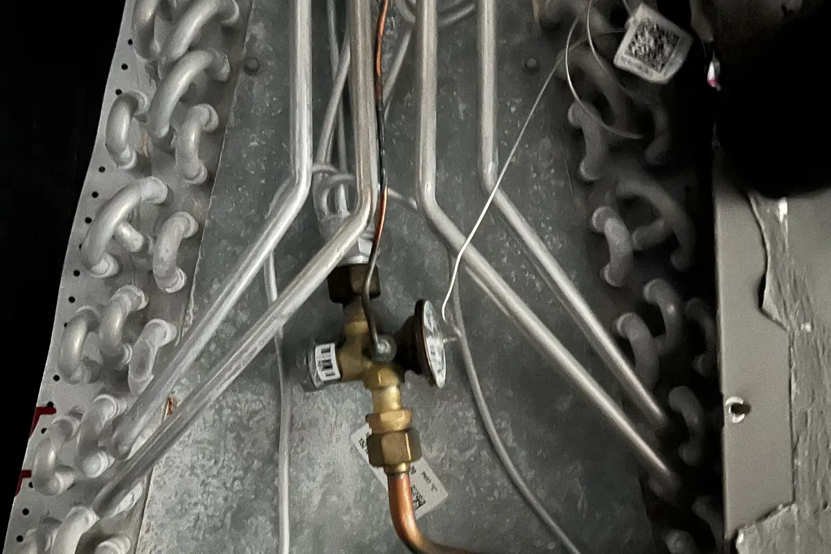 Why Mold Grows in Austin Air Ducts - Air Central indoor air quality service in Austin TX