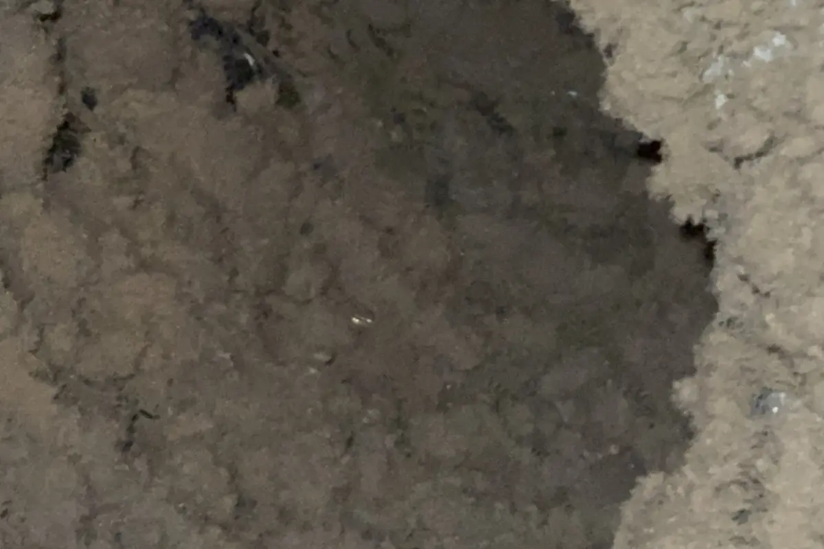 What Home Air Quality Tests Actually Measure - Air Central indoor air quality service in Austin TX