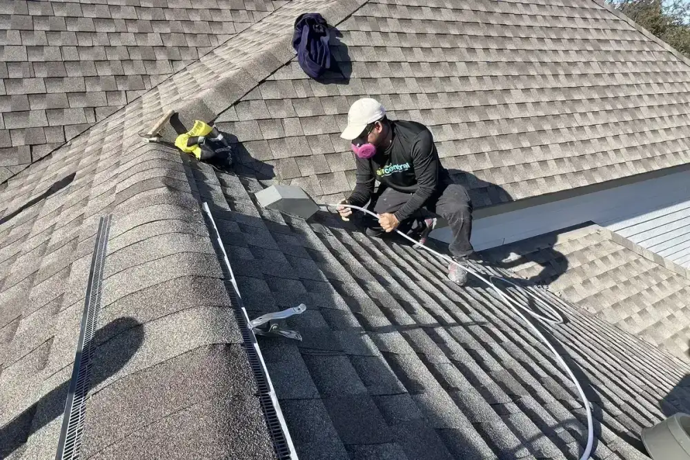 Bird Nests and Pest Blockages in Dryer Vents - Air Central dryer vent service in Austin TX