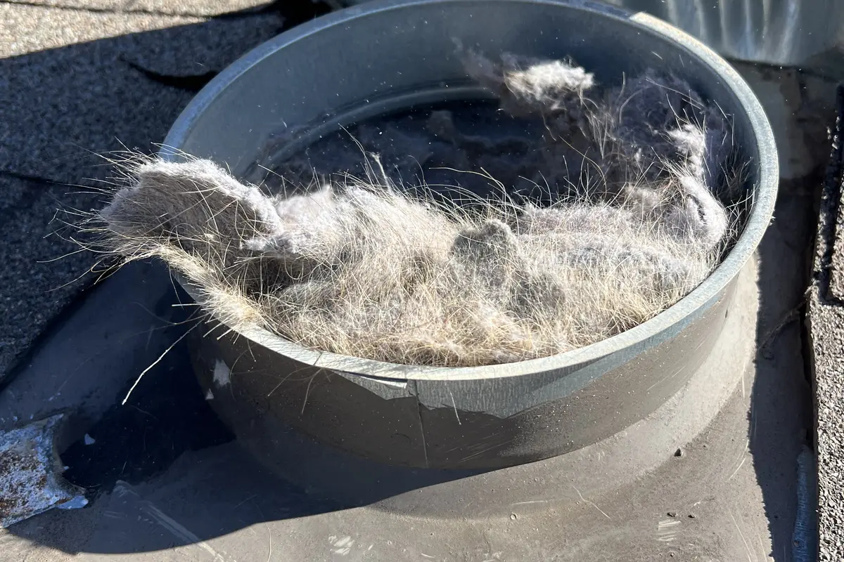 Sign 5: The Exterior Vent Flap Does Not Open - Air Central dryer vent service in Austin TX