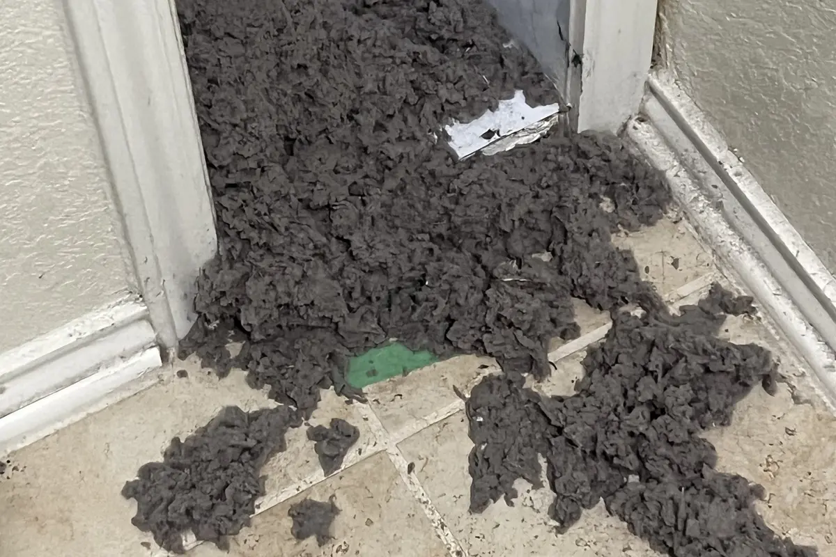 What Dryer Vent Cleaning Service Includes - Air Central dryer vent service in Austin TX