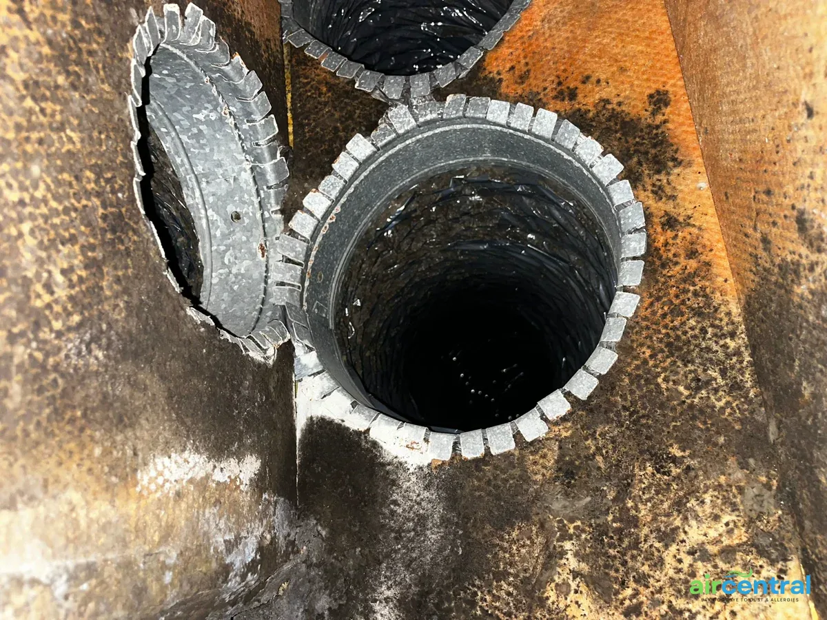 Does Duct Cleaning Help Prevent Illness? The Science