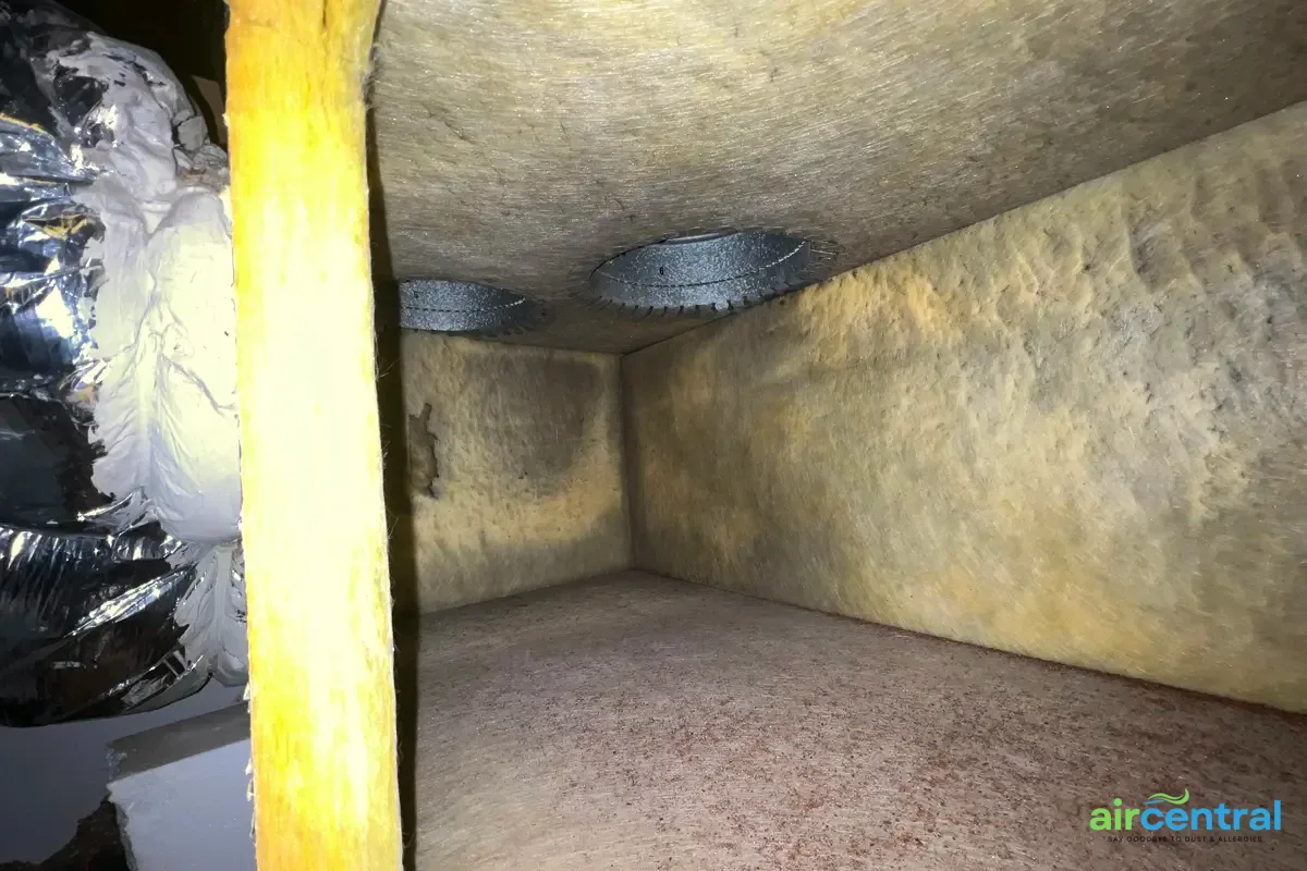 Contaminated plenum interior showing heavy buildup in Austin TX HVAC system