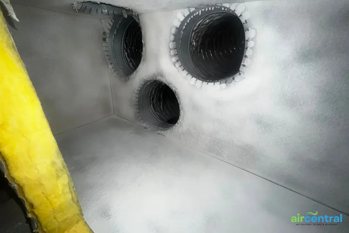 The 4 Components Most Affected by Mold - Air Central indoor air quality service in Austin TX